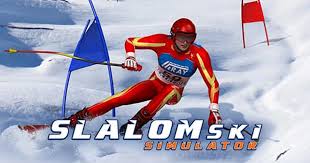 Snowboard Slalom Xtreme